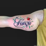 Фото тату Божья Коровка 17.02.22 №0051 - tattoo Ladybug tatufoto.com