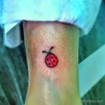 Фото тату Божья Коровка 17.02.22 №0056 - tattoo Ladybug tatufoto.com