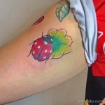 Фото тату Божья Коровка 17.02.22 №0058 - tattoo Ladybug tatufoto.com
