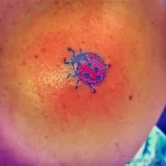Фото тату Божья Коровка 17.02.22 №0068 - tattoo Ladybug tatufoto.com