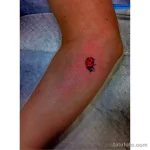 Фото тату Божья Коровка 17.02.22 №0070 - tattoo Ladybug tatufoto.com