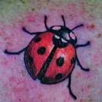 Фото тату Божья Коровка 17.02.22 №0072 - tattoo Ladybug tatufoto.com
