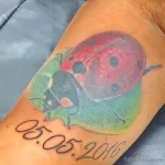 Фото тату Божья Коровка 17.02.22 №0074 - tattoo Ladybug tatufoto.com