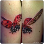Фото тату Божья Коровка 17.02.22 №0080 - tattoo Ladybug tatufoto.com