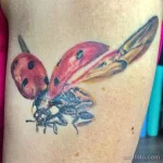 Фото тату Божья Коровка 17.02.22 №0081 - tattoo Ladybug tatufoto.com