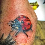 Фото тату Божья Коровка 17.02.22 №0090 - tattoo Ladybug tatufoto.com