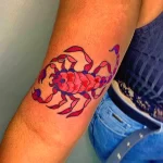 Фото тату знак зодиака 17.02.22 №0020 - Photo tattoo zodiac sign tatufoto.com