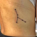 Фото тату знак зодиака 17.02.22 №0034 - Photo tattoo zodiac sign tatufoto.com
