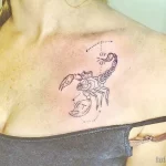 Фото тату знак зодиака 17.02.22 №0094 - Photo tattoo zodiac sign tatufoto.com