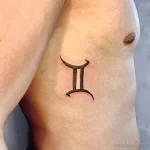 Фото тату знак зодиака 17.02.22 №0095 - Photo tattoo zodiac sign tatufoto.com