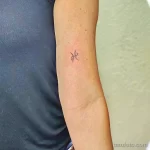 Фото тату знак зодиака 17.02.22 №0120 - Photo tattoo zodiac sign tatufoto.com