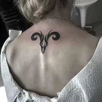 Фото тату знак зодиака 17.02.22 №0146 - Photo tattoo zodiac sign tatufoto.com