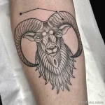 Фото тату знак зодиака 17.02.22 №0168 - Photo tattoo zodiac sign tatufoto.com