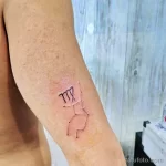 Фото тату знак зодиака 17.02.22 №0171 - Photo tattoo zodiac sign tatufoto.com