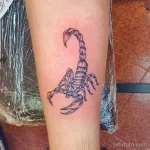 Фото татуировки скорпиона на руке. Рисунок выполнен в реалистичном стиле с использованием черных и серых оттенков.