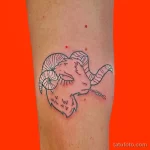 Фото тату знак зодиака 17.02.22 №0188 - Photo tattoo zodiac sign tatufoto.com