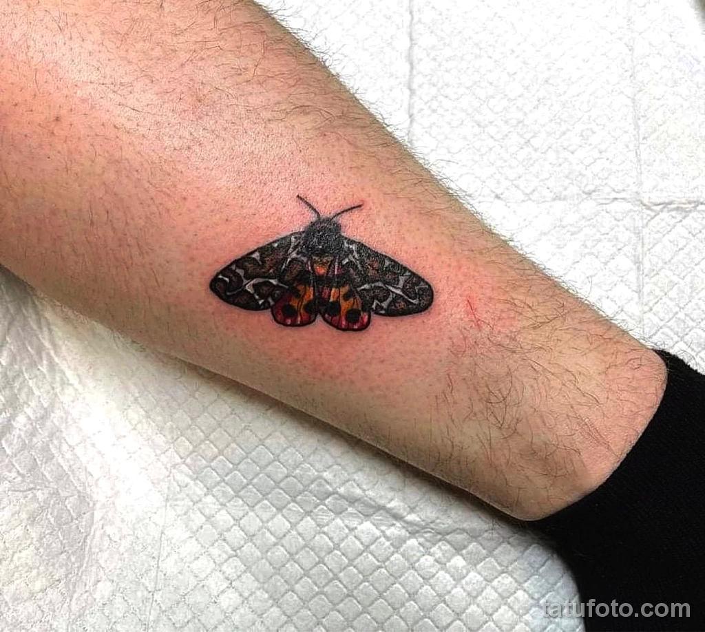 Фото цветного рисунка тату 13.02.22 №0019 — color drawing tattoo tatufoto.com