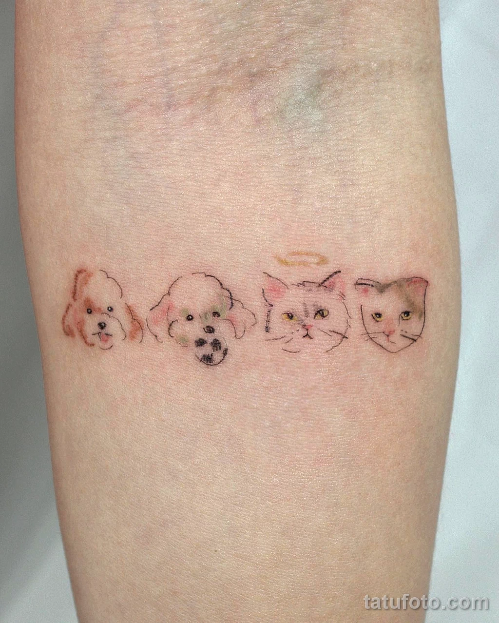 Фото цветного рисунка тату 13.02.22 №0023 — color drawing tattoo tatufoto.com