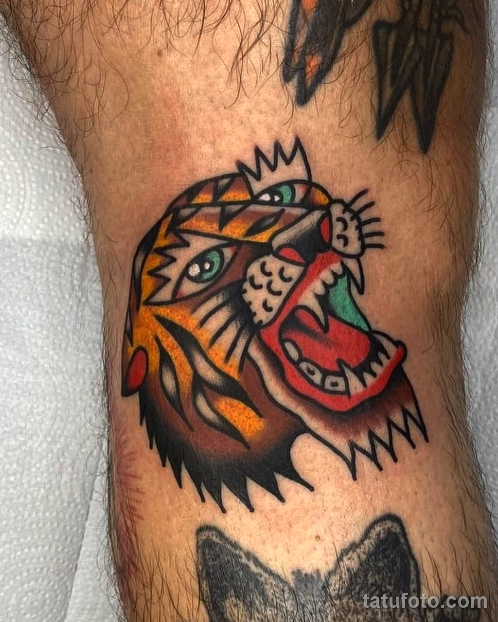 Фото цветного рисунка тату 13.02.22 №0135 — color drawing tattoo tatufoto.com