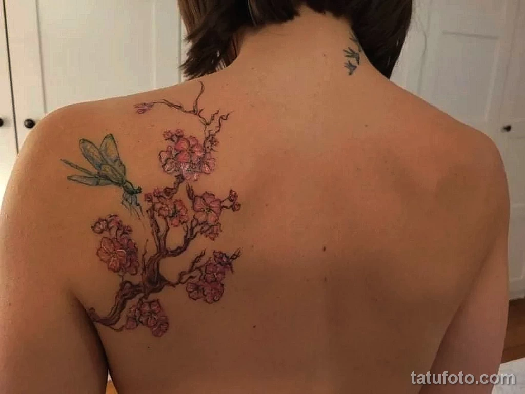 Фото цветного рисунка тату 13.02.22 №0174 — color drawing tattoo tatufoto.com