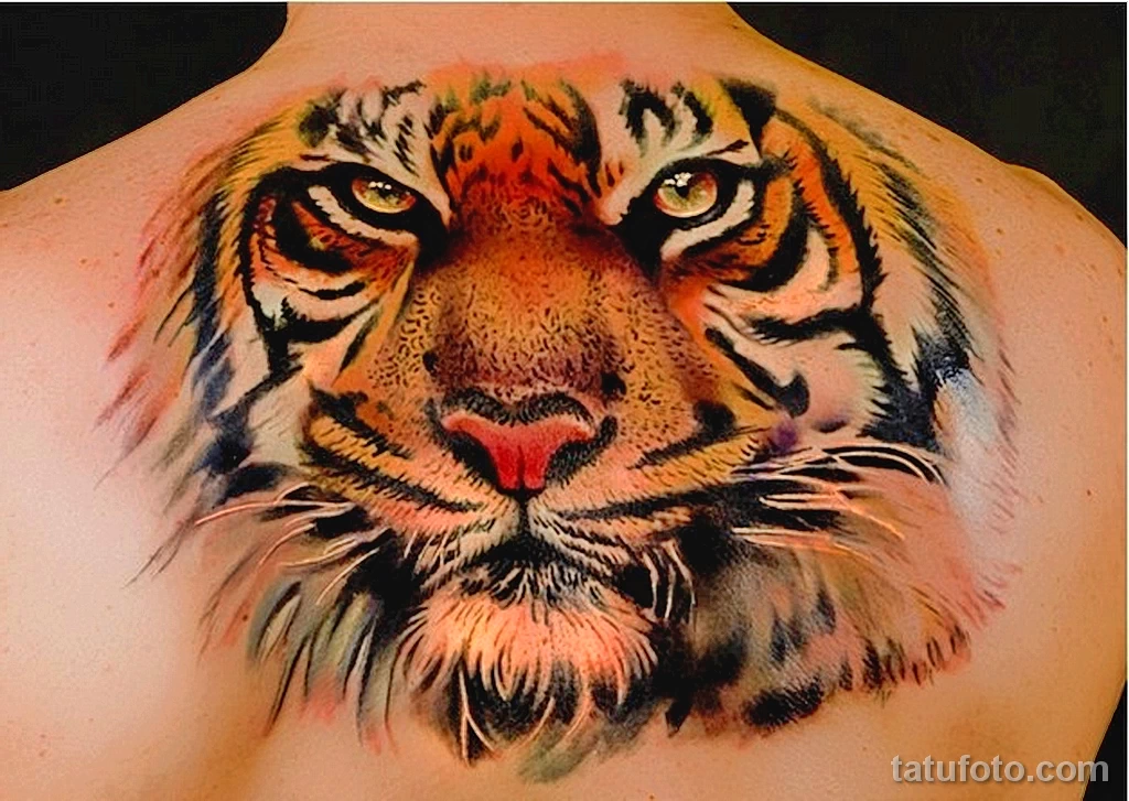 тату тигр цветной 13.02.22 №0011 — color drawing tattoo tatufoto.com