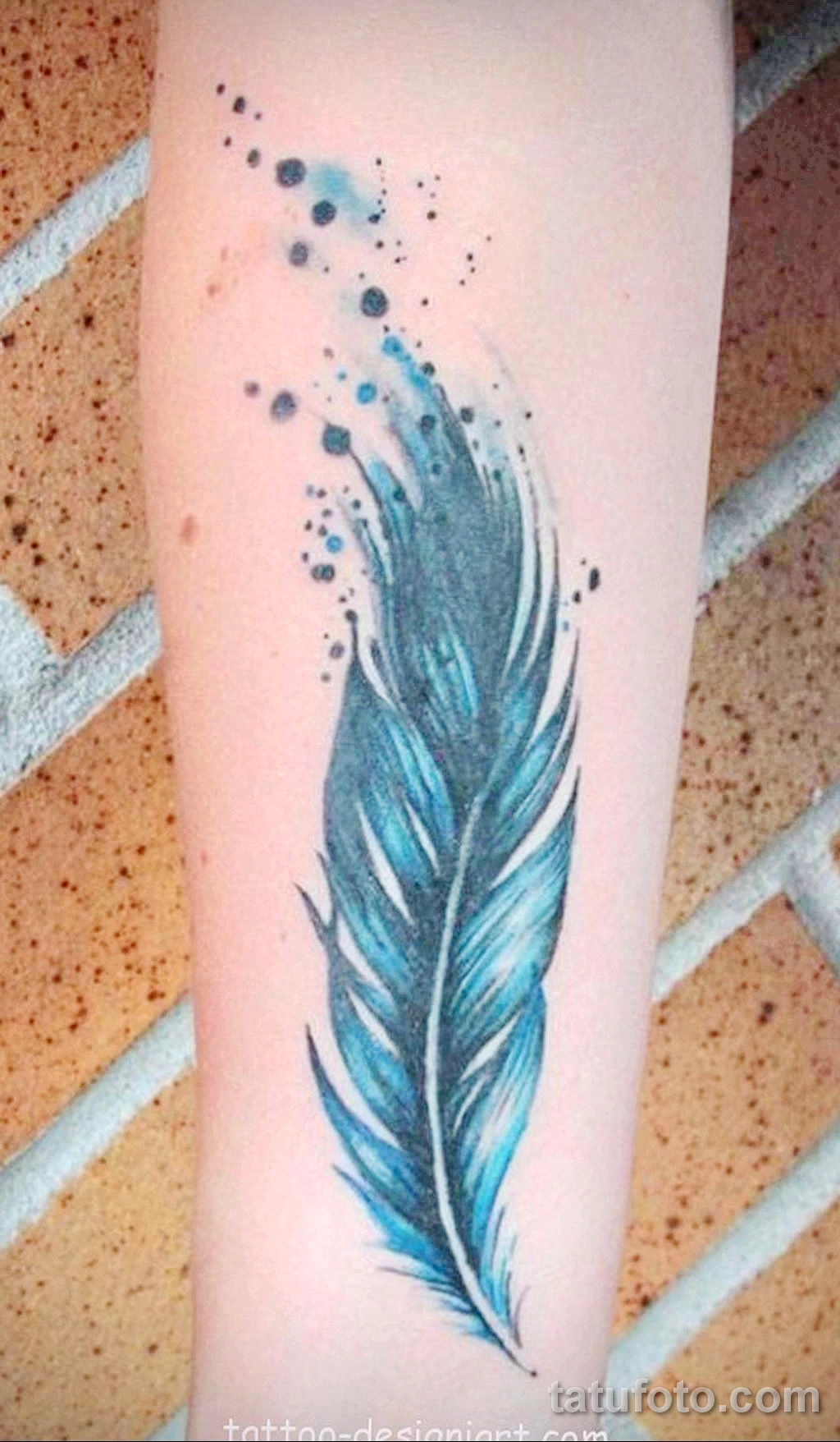 тату цветное перо 13.02.22 №0011 — color drawing tattoo tatufoto.com