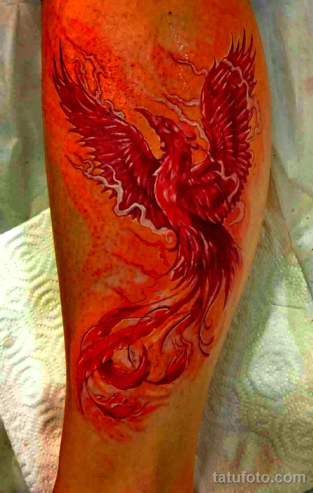 феникс тату цветное 13.02.22 №0008 — color drawing tattoo tatufoto.com