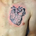 Фото тату: детальное изображение человеческого сердца на груди. Татуировка выполнена в черно-белой гамме с использованием тонких линий и точечной техники.