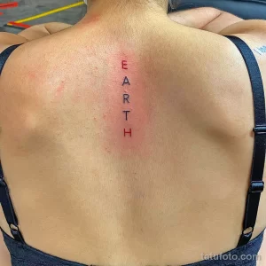 Фото тату: вертикальная надпись 'EARTH' красным цветом на спине человека, выполненная простым шрифтом.