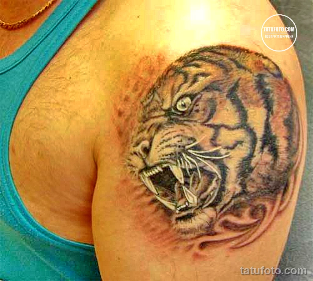 Тигр на плечо мужские. Тигр оскал реализм. Тату тигр. Тату тигра на плече. Тату тигра на плече для мужчин.