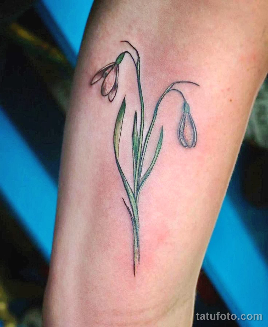 Фото тату цветок подснежника №0032 - snowdrop flower tattoo Фото тату цветок подснежника №0032 - snowdrop flower tattoo