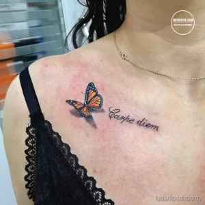 Фото тату: татуировка бабочки и фразы "Carpe Diem" на ключице девушки. Изображены детализированные крылья бабочки и изящный шрифт.