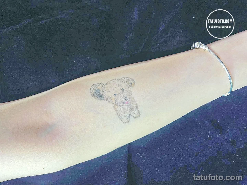Новый интересный рисунок тату 27.04.22 №0191 — New interesting tattoo desig tatufoto.com