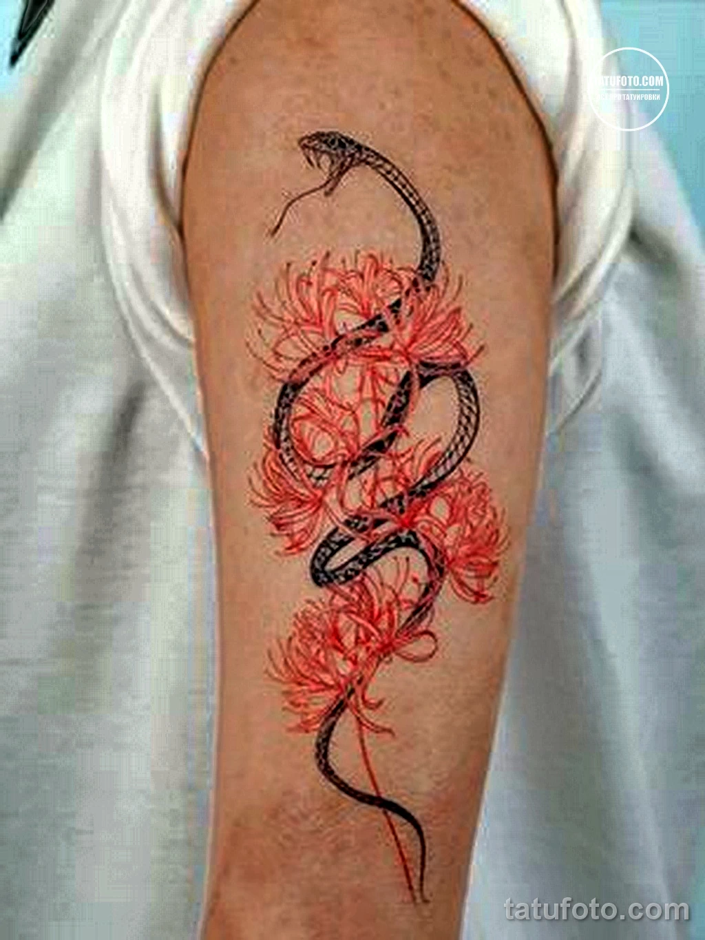 Новый интересный рисунок тату 27.04.22 №0443 — New interesting tattoo desig tatufoto.com