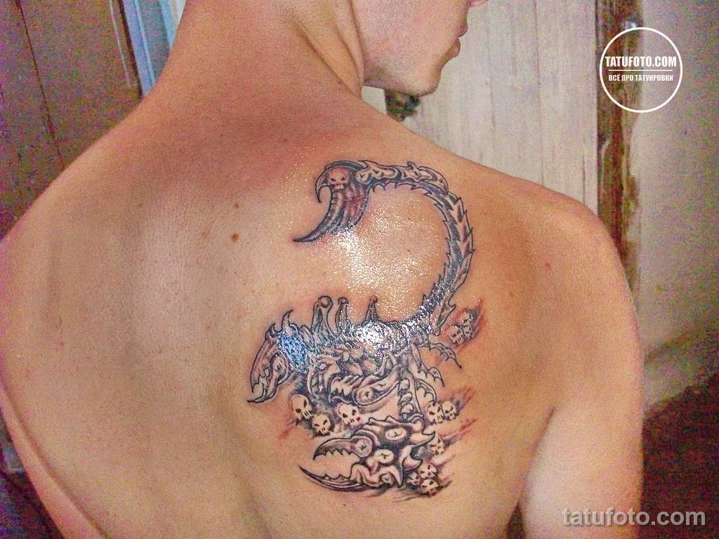 Новый интересный рисунок тату 27.04.22 №0491 — New interesting tattoo desig tatufoto.com