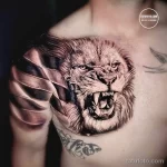Фотография реалистичной татуировки льва на груди мужчины. Татуировка выполнена в черно-серых тонах и отличается высокой детализацией.