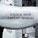 Фото тату: черная надпись на латыни 'Aquila non captat muscas' на предплечье мужчины. Минималистичный дизайн, четкие линии, классический стиль.