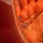 Смешные и весёлые рисунки тату с приколом 10.04.22 №0564 - fun tattoo tatufoto.com