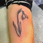 Фото тату цветок подснежника 19.04.22 №0227 - snowdrop flower tattoo tatufoto.com
