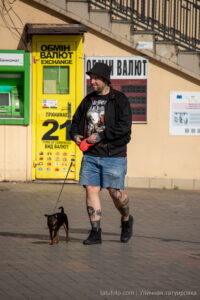 Фото мужчины с татуировками на ногах, выгуливающего маленькую собаку на фоне обменного пункта валют. Идеи для тату и уличный стиль.