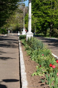 Фотография аллеи в парке, вдоль которой растут тюльпаны и установлена старинная колонна. Аллея вымощена камнем, а на заднем плане видны деревья и кустарники.