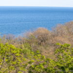 Виды у моря в Одессе (Чкаловский) 7