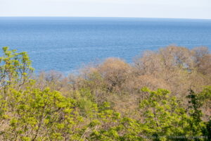 Фотография спокойного моря и зеленых холмов, покрытых деревьями, под ясным голубым небом. Пейзаж создает ощущение умиротворения и спокойствия.