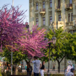 Фото тату: девушка с татуировкой на шее сидит на скамейке на фоне цветущих деревьев и городской архитектуры.