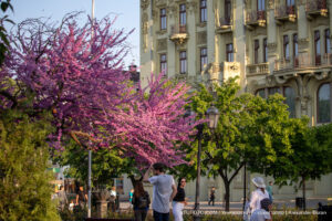 Фото тату: девушка с татуировкой на шее сидит на скамейке на фоне цветущих деревьев и городской архитектуры.