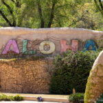 Одесский Аквапарк в Аркадии 1