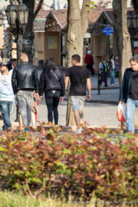 Фото тату волка на голени мужчины, выполненное в геометрическом стиле с использованием черных линий и точек. Виден общий план улицы.