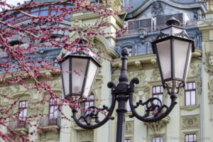 Фотография старинного фонаря на фоне цветущего дерева. Фонарь выполнен из черного металла и украшен витиеватыми узорами. Дерево усыпано розовыми цветами.