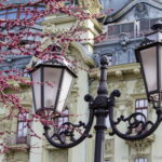 Фонари и цветущее дерево на Дерибасовской в Одессе 2