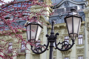 Фотография старинного фонаря на фоне цветущего дерева. Фонарь выполнен из черного металла и украшен витиеватыми узорами. Дерево усыпано розовыми цветами.